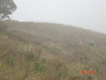 DSC00074