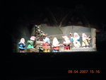 DSCN0888