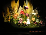 DSCN0889