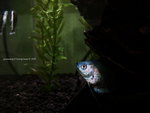 2013-05-05 17.43.27_resize