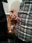 2013-05-05 21.58.19_resize