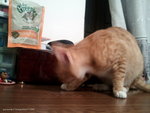 2013-05-05 22.09.57_resize