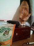2013-05-05 22.17.30_resize