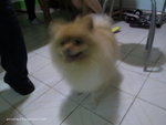 IMG_1013_resize