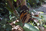 P1290874