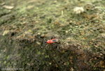 P1230929_resize