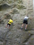IMG_0529