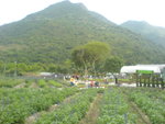 DSC00378