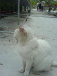 DSC00379