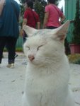 DSC00380