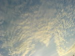 DSC00768