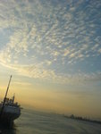 DSC00769