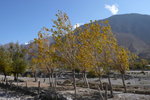 Jomsom
P1030643