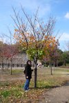 大阪城  (Day 3)