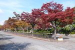 大阪城  (Day 3)