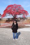 大阪城  (Day 3)