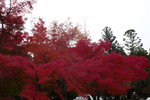 嵐山 (Day4)