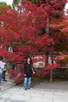 嵐山 (Day4)