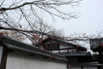 嵐山 (Day4)