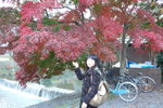 嵐山公園 (Day4)