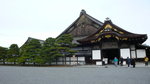 京都二條城 (Day5)