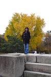 京都二條城 (Day5)