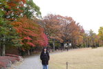 京都二條城 (Day5)