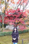 京都金閣寺 (Day5)