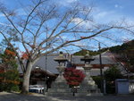 京都清水寺 (Day6)