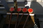 京都地主神社(Day6)