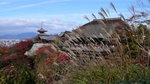 京都清水寺 (Day6)
