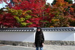 京都永觀堂(Day6)