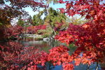 京都永觀堂(Day6)