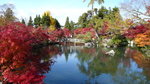 京都永觀堂(Day6)
