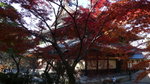 京都南禪寺(Day6)