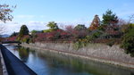 京都(Day6)