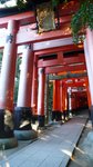 京都伏見稻荷大社(Day6)