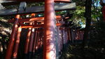 京都伏見稻荷大社(Day6)