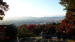 京都伏見稻荷大社(Day6)