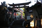 京都伏見稻荷大社(Day6)