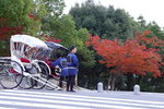奈良(Day6)