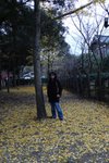 奈良(Day6)