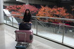 Osaka Airport (Day8)