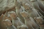 IMG_6958