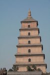 IMG_7537
