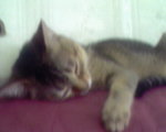 Zzzz
