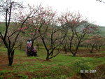 PICT0288