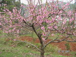 PICT0291