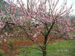 PICT0292