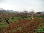 PICT0296
